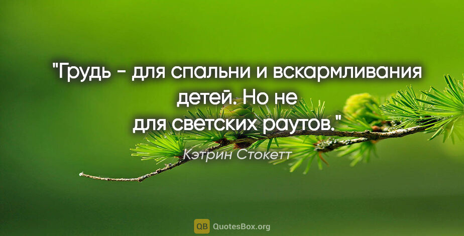 Кэтрин Стокетт цитата: "Грудь - для спальни и вскармливания детей. Но не для светских..."