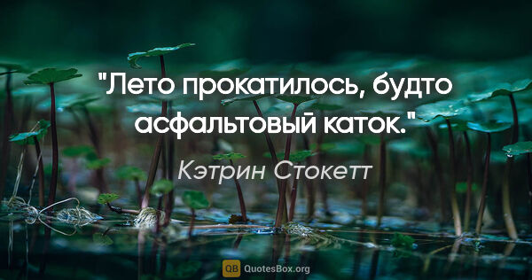 Кэтрин Стокетт цитата: "Лето прокатилось, будто асфальтовый каток."