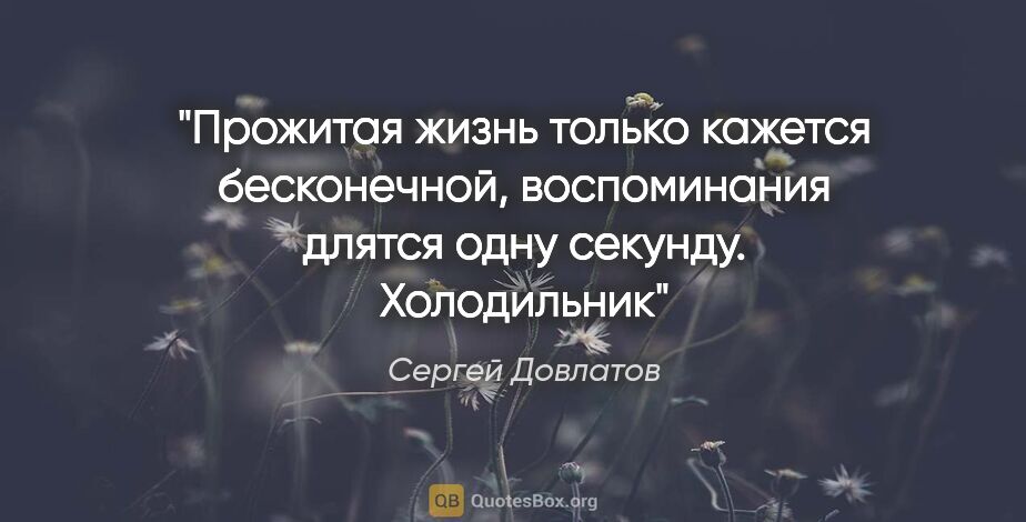 Сергей Довлатов цитата: "Прожитая жизнь только кажется бесконечной, воспоминания длятся..."