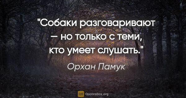 Орхан Памук цитата: "Собаки разговаривают — но только с теми, кто умеет слушать."