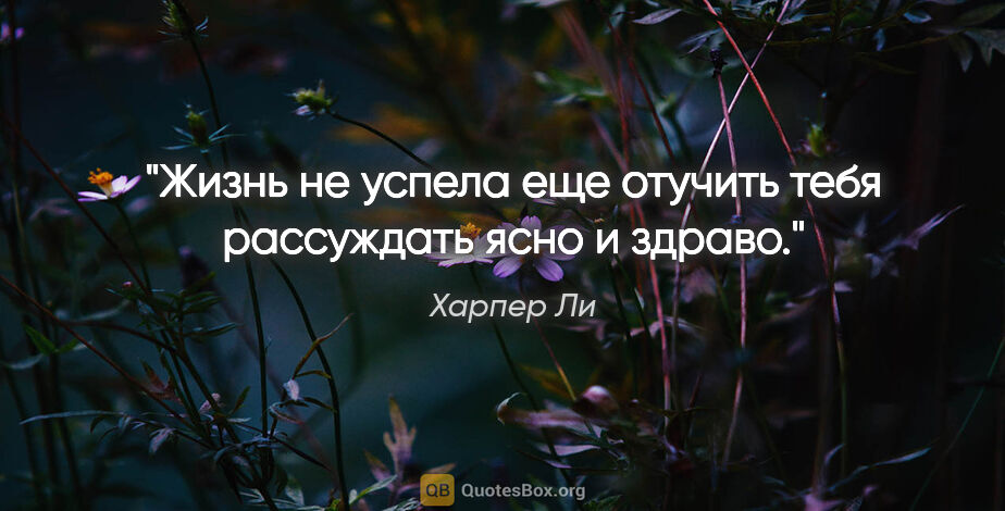 Харпер Ли цитата: "Жизнь не успела еще отучить тебя рассуждать ясно и здраво."