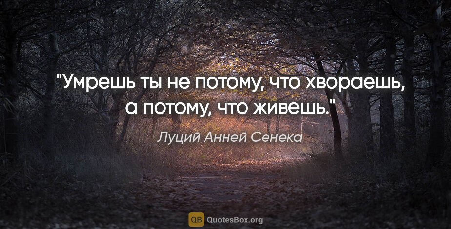 Луций Анней Сенека цитата: "Умрешь ты не потому, что хвораешь, а потому, что живешь."