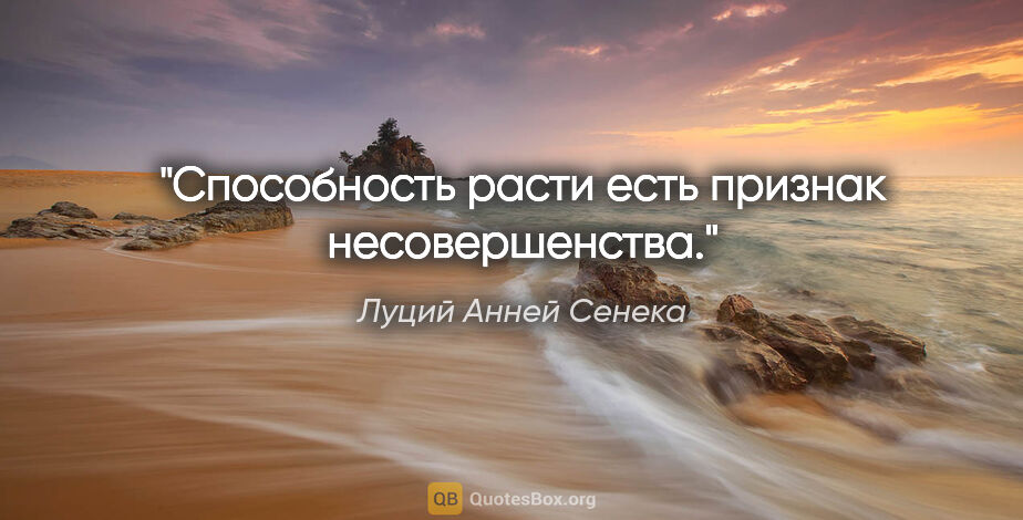 Луций Анней Сенека цитата: "Способность расти есть признак несовершенства."