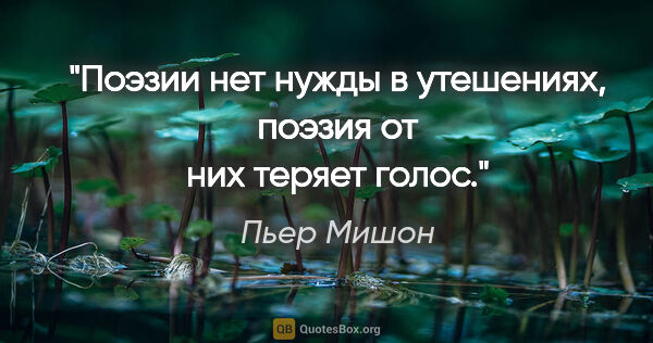 Пьер Мишон цитата: "Поэзии нет нужды в утешениях, поэзия от них теряет голос."