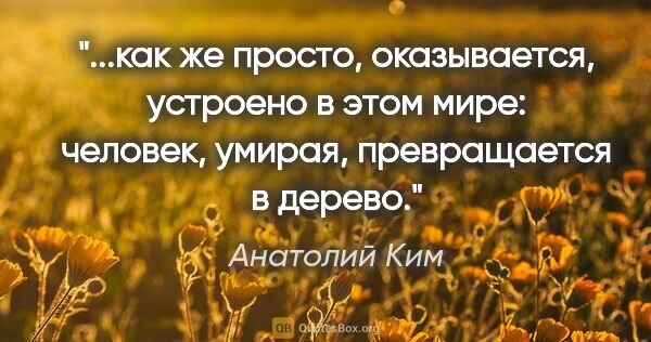 Анатолий Ким цитата: "как же просто, оказывается, устроено в этом мире: человек,..."