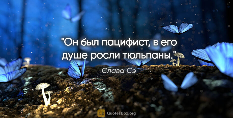 Слава Сэ цитата: "Он был пацифист, в его душе росли тюльпаны."