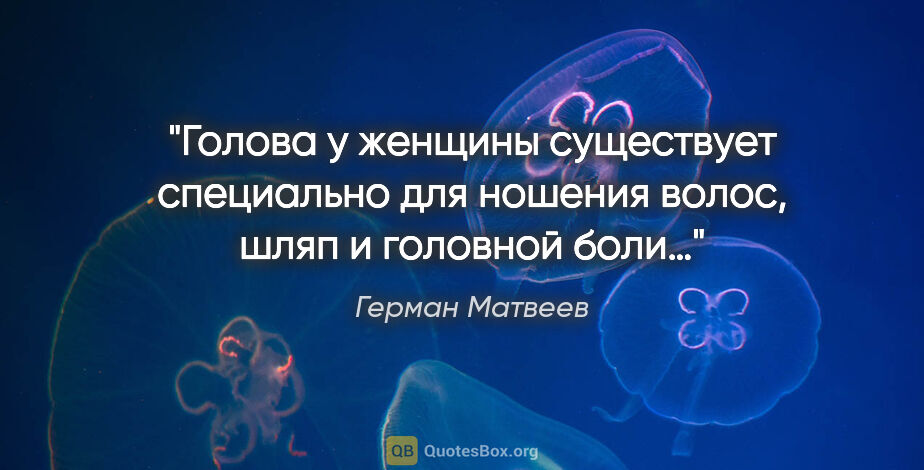 Герман Матвеев цитата: "Голова у женщины существует специально для ношения волос, шляп..."