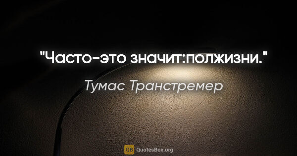 Тумас Транстремер цитата: "Часто-это значит:полжизни."