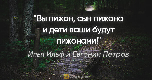 Илья Ильф и Евгений Петров цитата: "Вы пижон, сын пижона и дети ваши будут пижонами!"