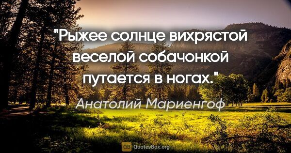 Анатолий Мариенгоф цитата: "Рыжее солнце вихрястой веселой собачонкой путается в ногах."