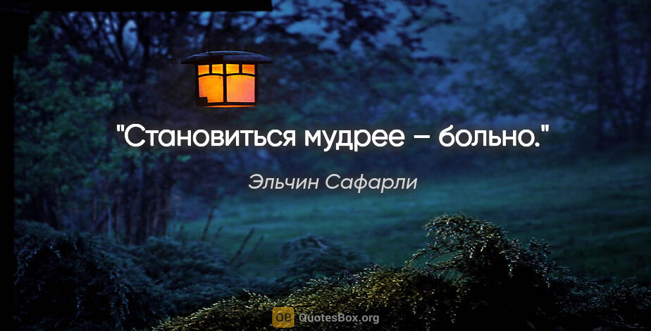 Эльчин Сафарли цитата: "Становиться мудрее – больно."