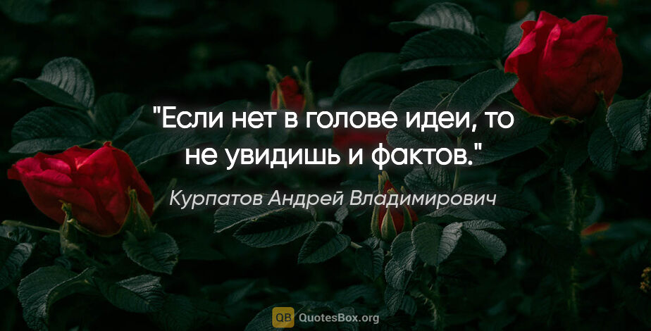 Курпатов Андрей Владимирович цитата: "Если нет в голове идеи, то не увидишь и фактов."