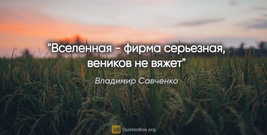 Владимир Савченко цитата: "Вселенная - фирма серьезная, веников не вяжет"