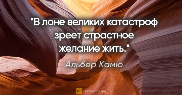 Альбер Камю цитата: "В лоне великих катастроф зреет страстное желание жить."