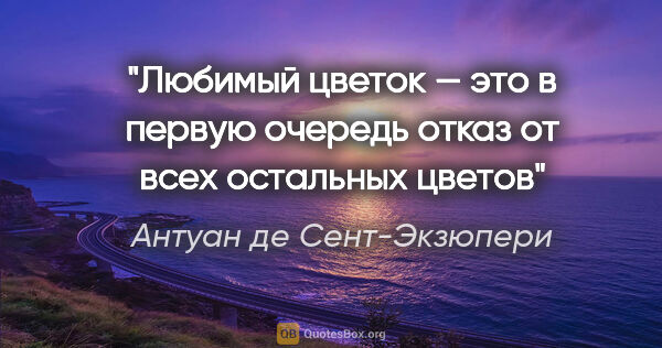 Антуан де Сент-Экзюпери цитата: "Любимый цветок — это в первую очередь отказ от всех остальных..."