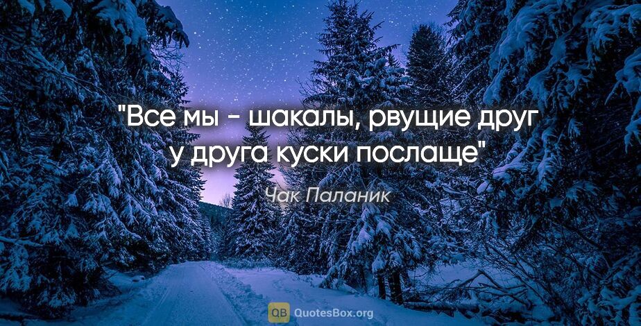 Чак Паланик цитата: "Все мы - шакалы, рвущие друг у друга куски послаще"