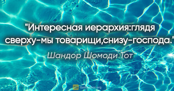 Шандор Шомоди Тот цитата: "Интересная иерархия:глядя сверху-мы товарищи,снизу-господа."