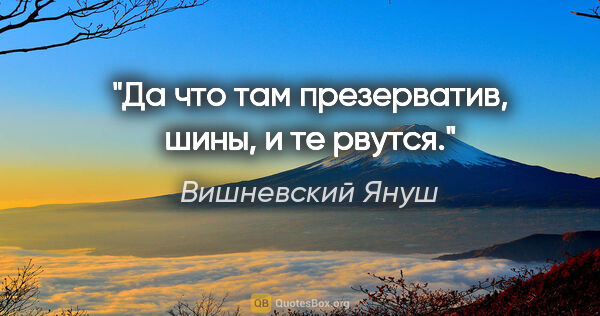 Вишневский Януш цитата: "Да что там презерватив, шины, и те рвутся."