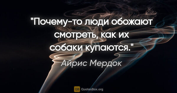 Айрис Мердок цитата: "Почему-то люди обожают смотреть, как их собаки купаются."