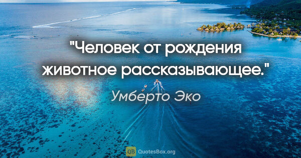 Умберто Эко цитата: "Человек от рождения животное рассказывающее."