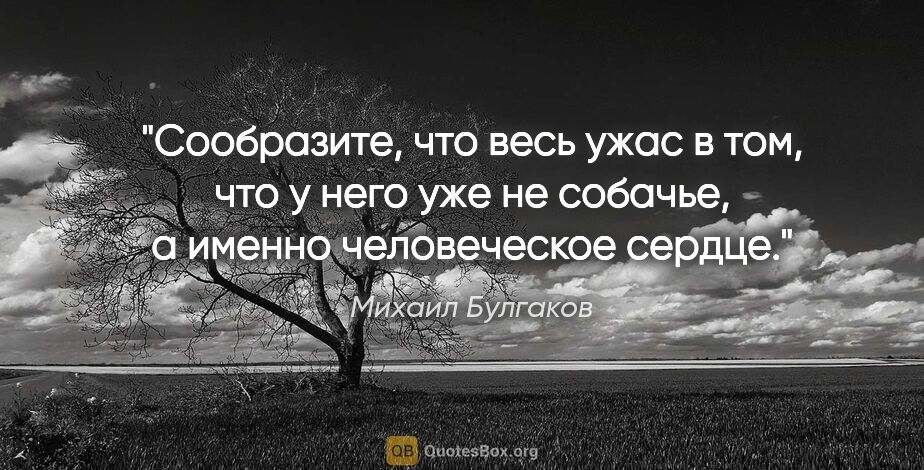 Михаил Булгаков цитата: "Сообразите, что весь ужас в том, что у него уже не собачье, а..."