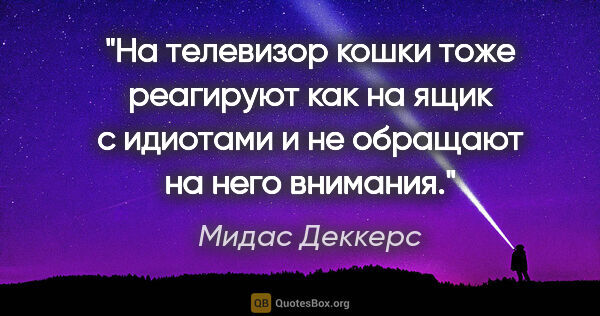 Мидас Деккерс цитата: "На телевизор кошки тоже реагируют как на ящик с идиотами и не..."