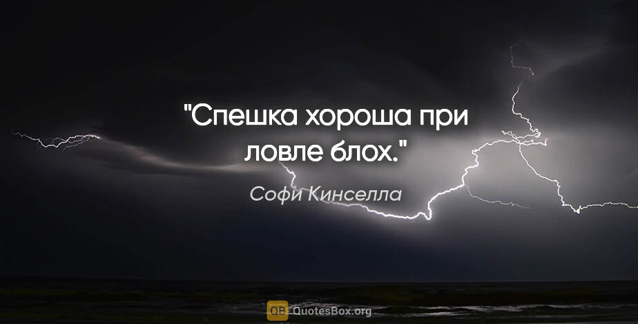 Софи Кинселла цитата: "Спешка хороша при ловле блох."