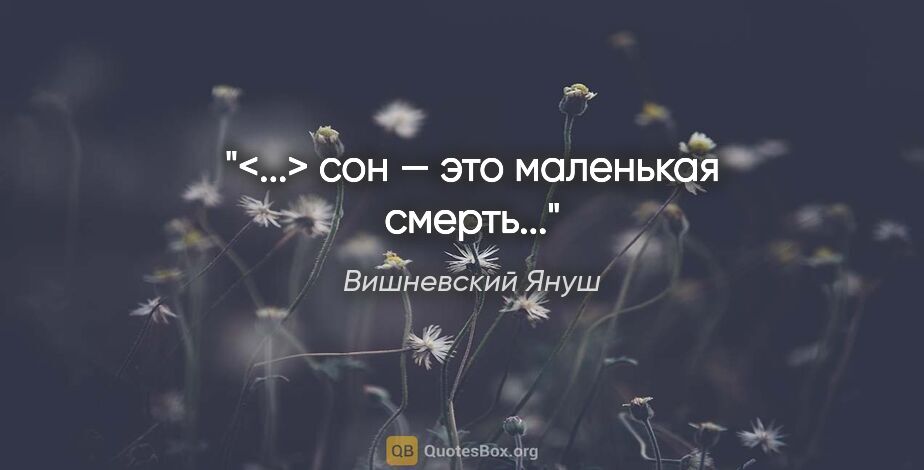 Вишневский Януш цитата: "<...> сон — это маленькая смерть..."