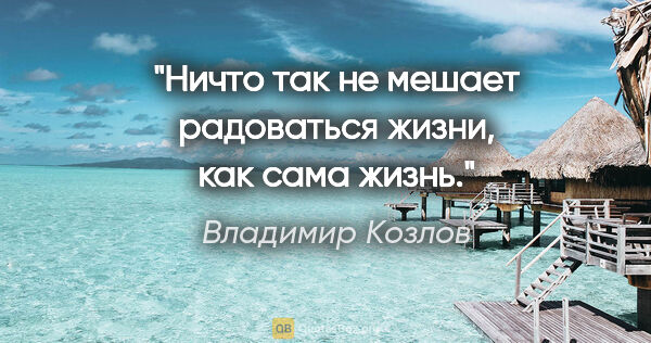 Владимир Козлов цитата: "Ничто так не мешает радоваться жизни, как сама жизнь."