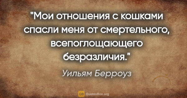 Уильям Берроуз цитата: "Мои отношения с кошками спасли меня от смертельного,..."