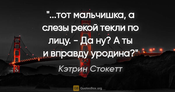 Кэтрин Стокетт цитата: "тот мальчишка, а слезы рекой текли по лицу. - Да ну? А ты и..."