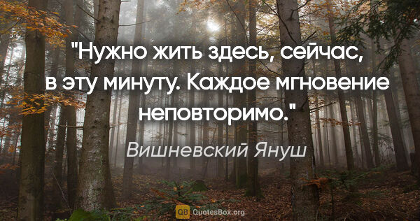 Вишневский Януш цитата: "Нужно жить здесь, сейчас, в эту минуту. Каждое мгновение..."