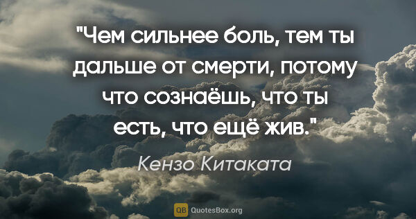 Кензо Китаката цитата: "Чем сильнее боль, тем ты дальше от смерти, потому что..."