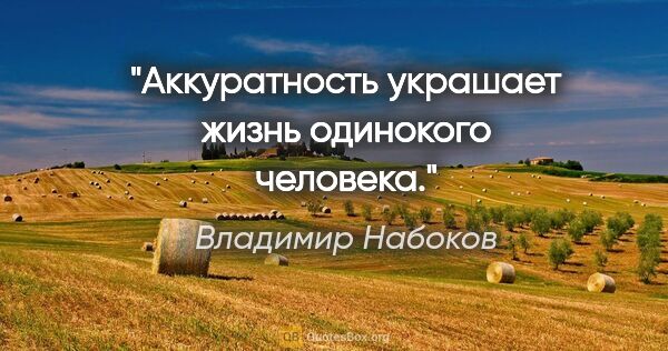 Владимир Набоков цитата: "Аккуратность украшает жизнь одинокого человека."