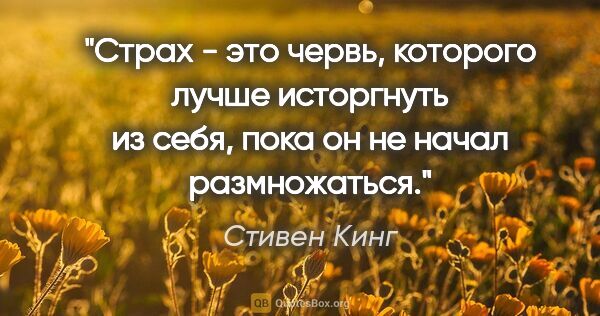 Стивен Кинг цитата: "Страх - это червь, которого лучше исторгнуть из себя, пока он..."