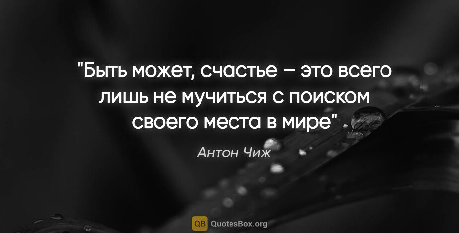 Антон Чиж цитата: "Быть может, счастье – это всего лишь не мучиться с поиском..."