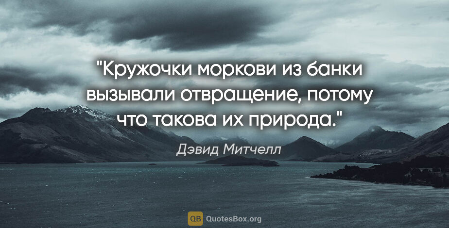 Дэвид Митчелл цитата: "Кружочки моркови из банки вызывали отвращение, потому что..."