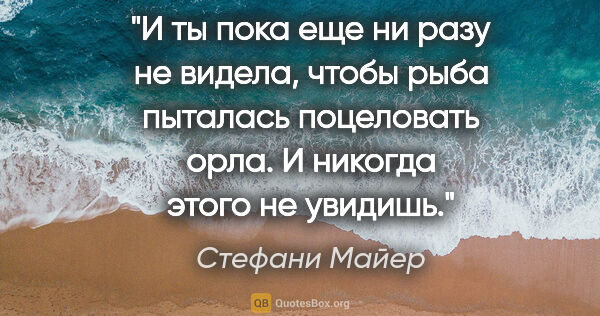 Стефани Майер цитата: "И ты пока еще ни разу не видела, чтобы рыба пыталась..."