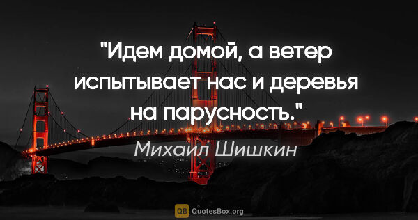 Михаил Шишкин цитата: "Идем домой, а ветер испытывает нас и деревья на парусность."