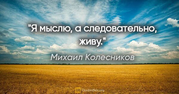 Михаил Колесников цитата: "Я мыслю, а следовательно, живу."