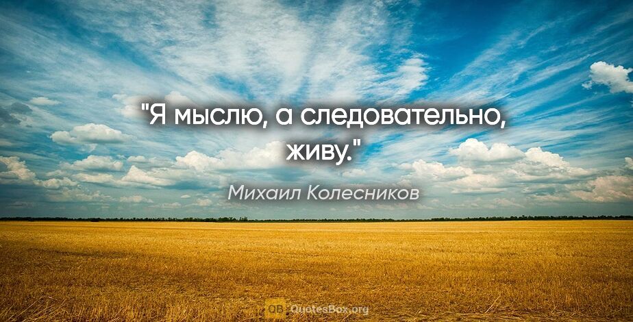 Михаил Колесников цитата: "Я мыслю, а следовательно, живу."