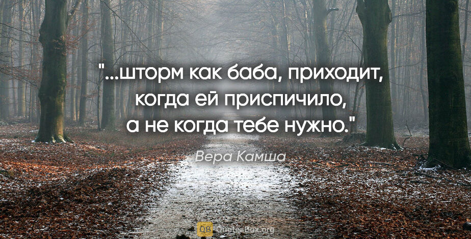 Вера Камша цитата: "шторм как баба, приходит, когда ей приспичило, а не когда тебе..."