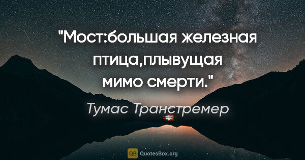 Тумас Транстремер цитата: "Мост:большая железная птица,плывущая мимо смерти."