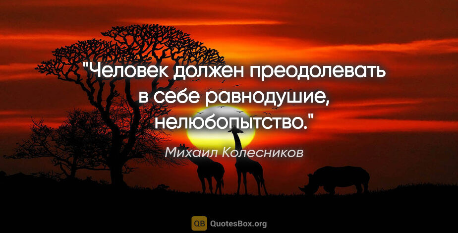 Михаил Колесников цитата: "Человек должен преодолевать в себе равнодушие, нелюбопытство."
