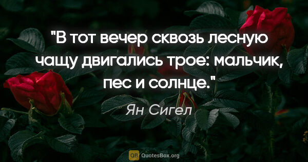 Ян Сигел цитата: "В тот вечер сквозь лесную чащу двигались трое: мальчик, пес и..."