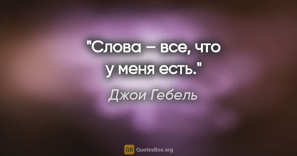 Джои Гебель цитата: "Слова – все, что у меня есть."