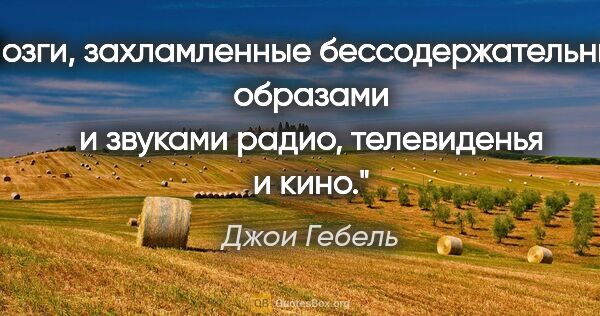 Джои Гебель цитата: "Мозги, захламленные бессодержательными образами и звуками..."