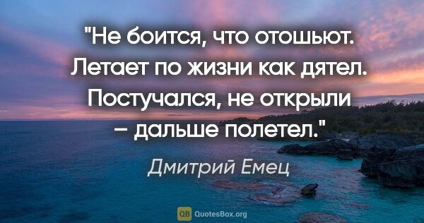 Дмитрий Емец цитата: "Не боится, что отошьют. Летает по жизни как дятел. Постучался,..."