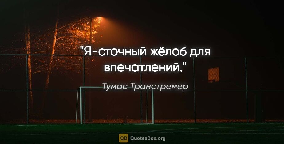 Тумас Транстремер цитата: "Я-сточный жёлоб для впечатлений."