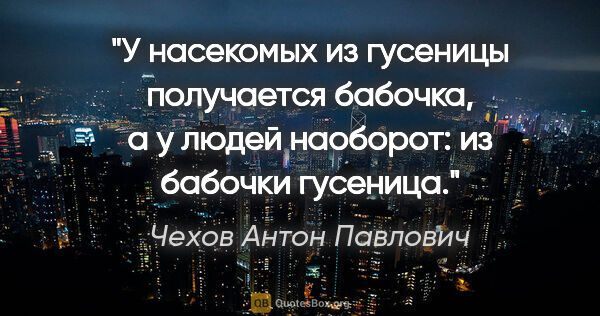 Чехов Антон Павлович цитата: "У насекомых из гусеницы получается бабочка, а у людей..."